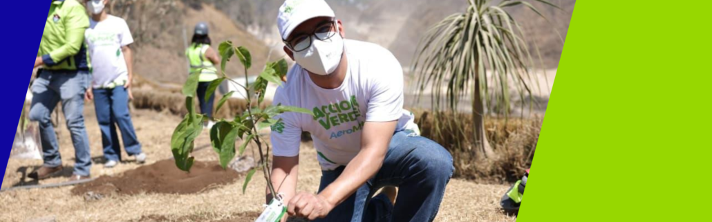 PORTADA NOTA REFORESTACIÓN